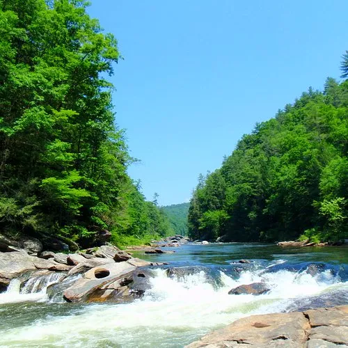 The Neuse River near Clayton, NC